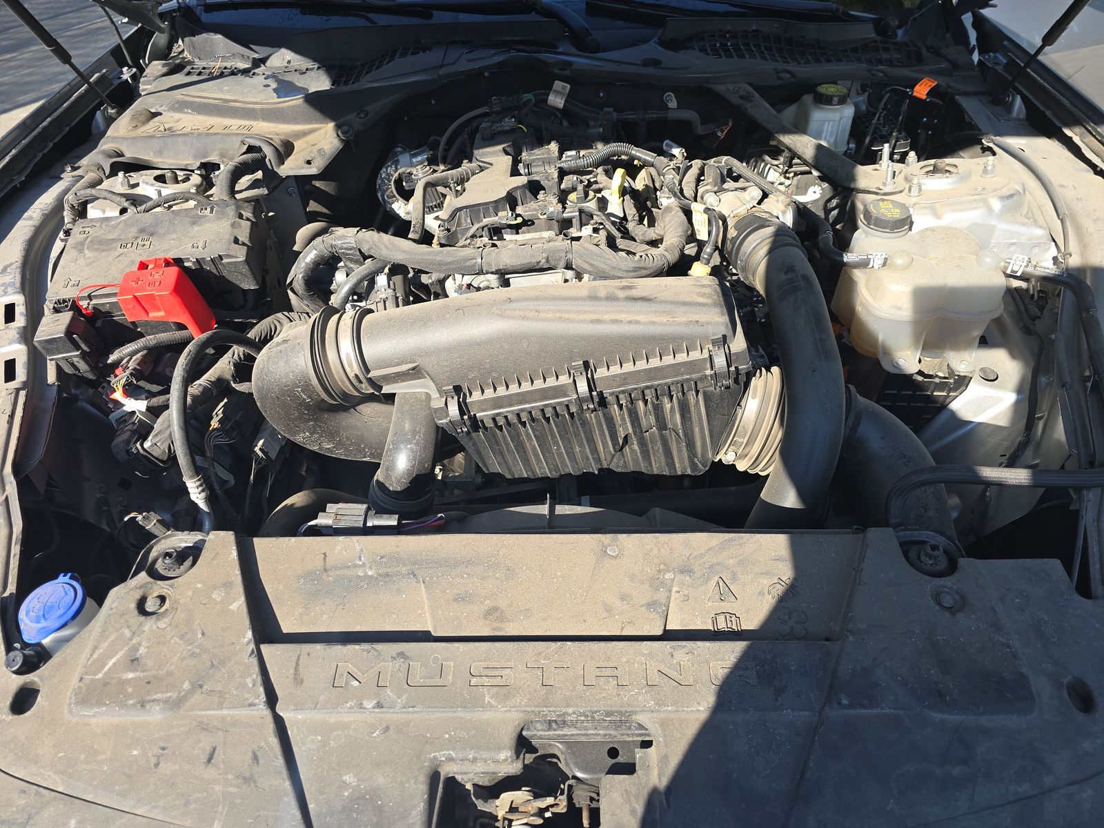 2024 Ford Mustang EcoBoost Premium RWD