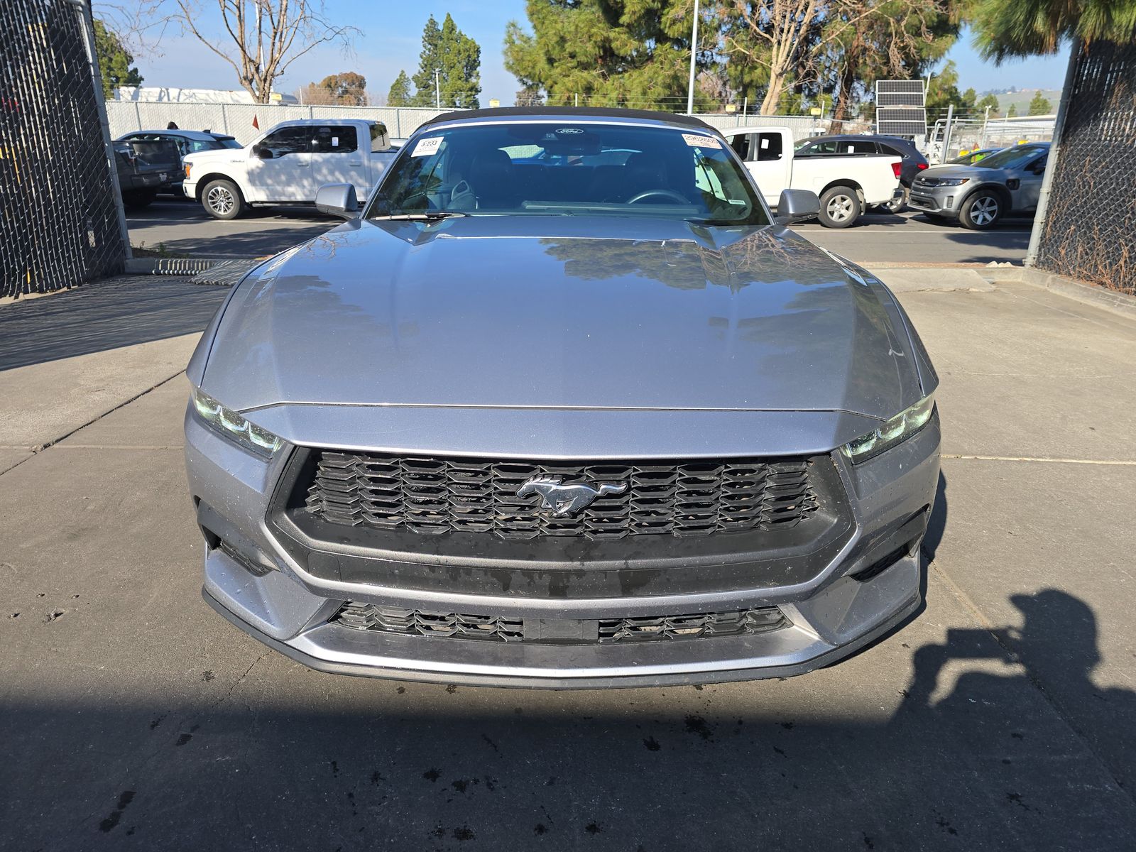 2024 Ford Mustang EcoBoost Premium RWD