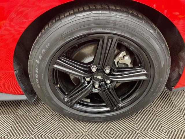 2024 Ford Mustang EcoBoost RWD