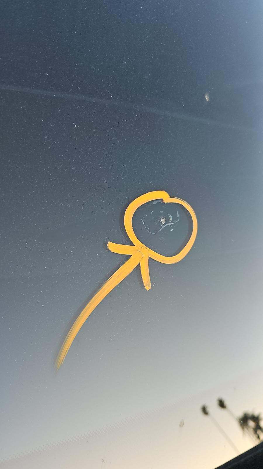 2019 Lamborghini Urus Base AWD