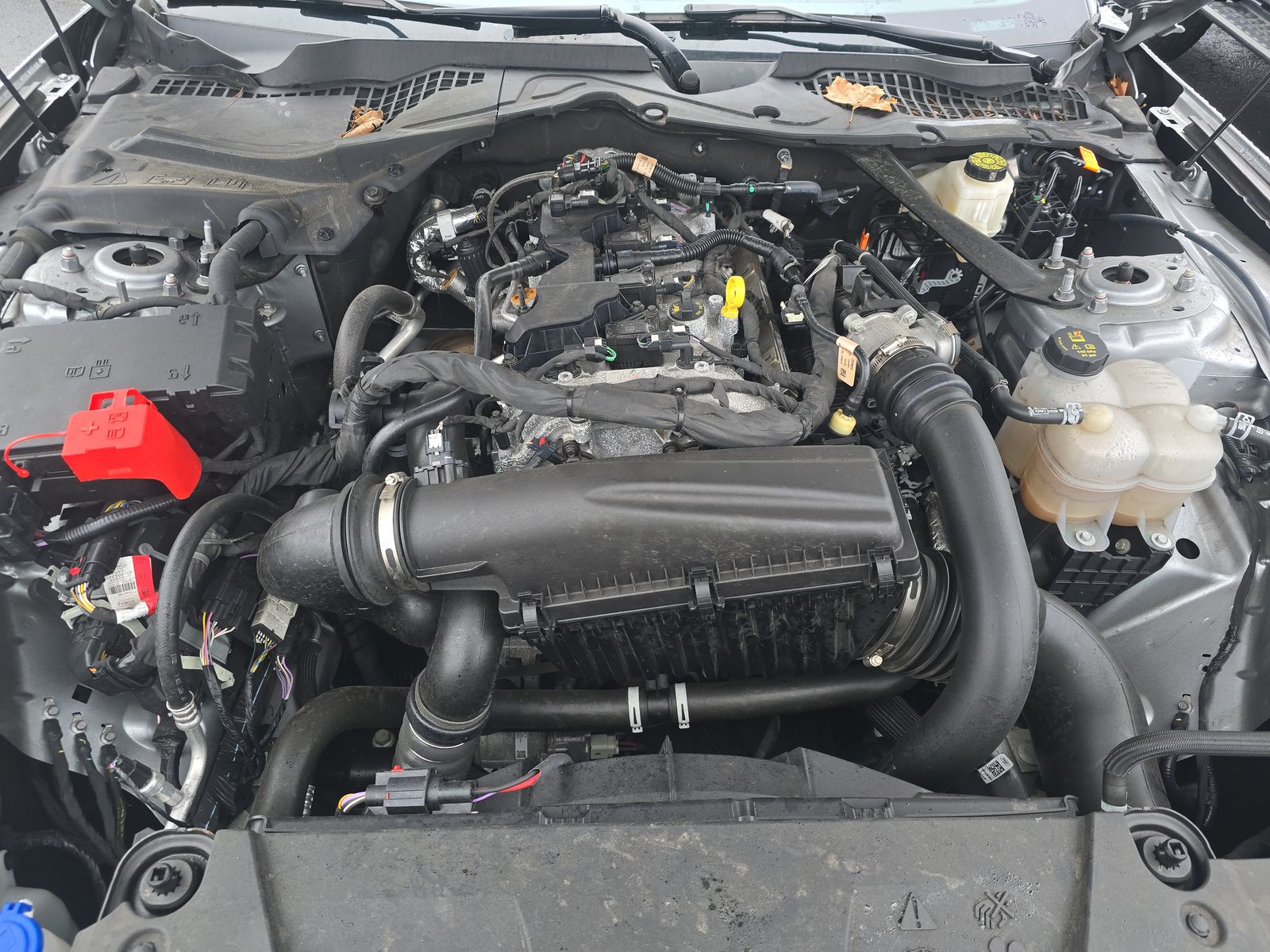 2024 Ford Mustang EcoBoost Premium RWD