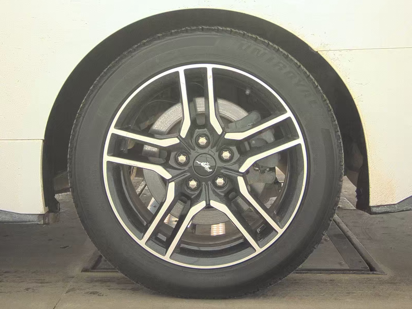 2019 Ford Mustang GT Premium RWD