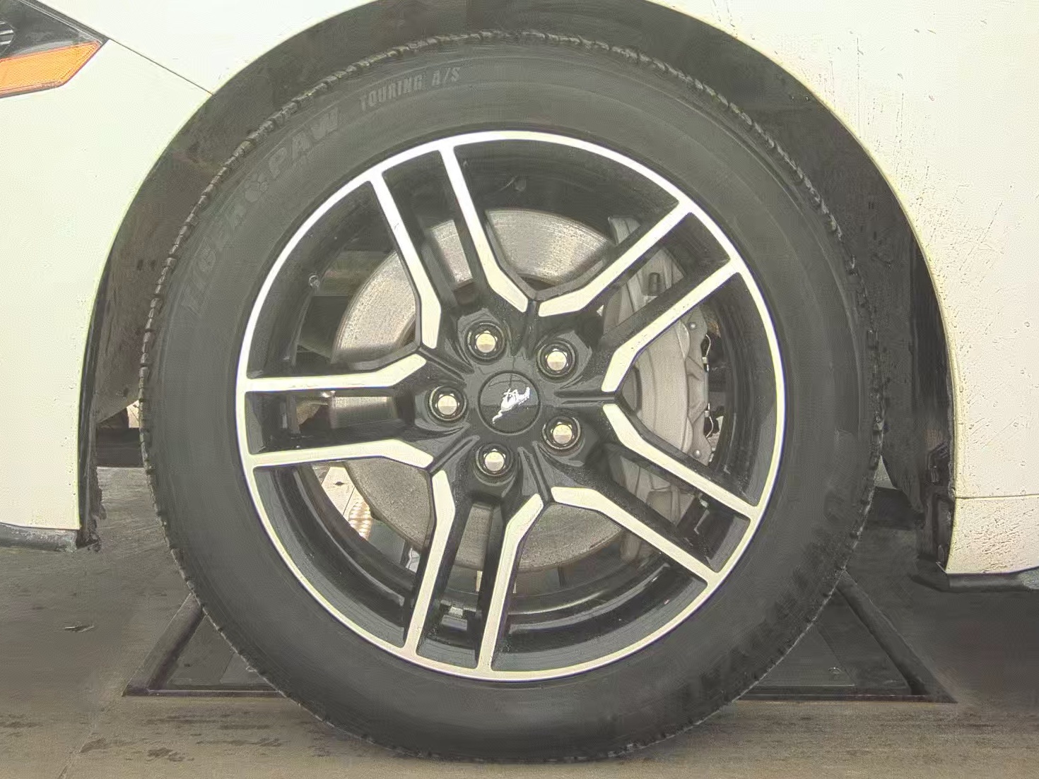 2019 Ford Mustang GT Premium RWD