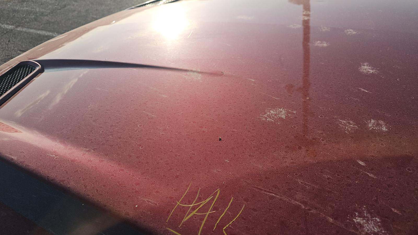 2020 Ford Mustang EcoBoost RWD