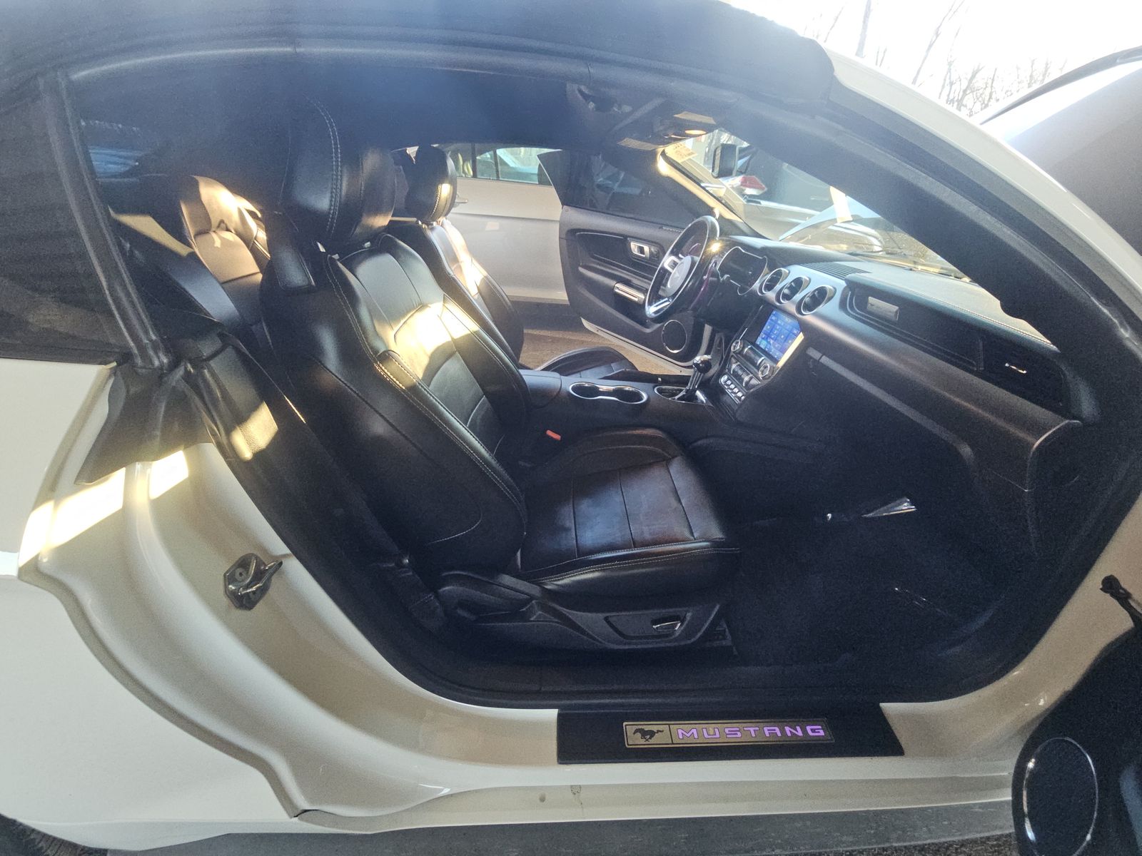 2019 Ford Mustang GT Premium RWD