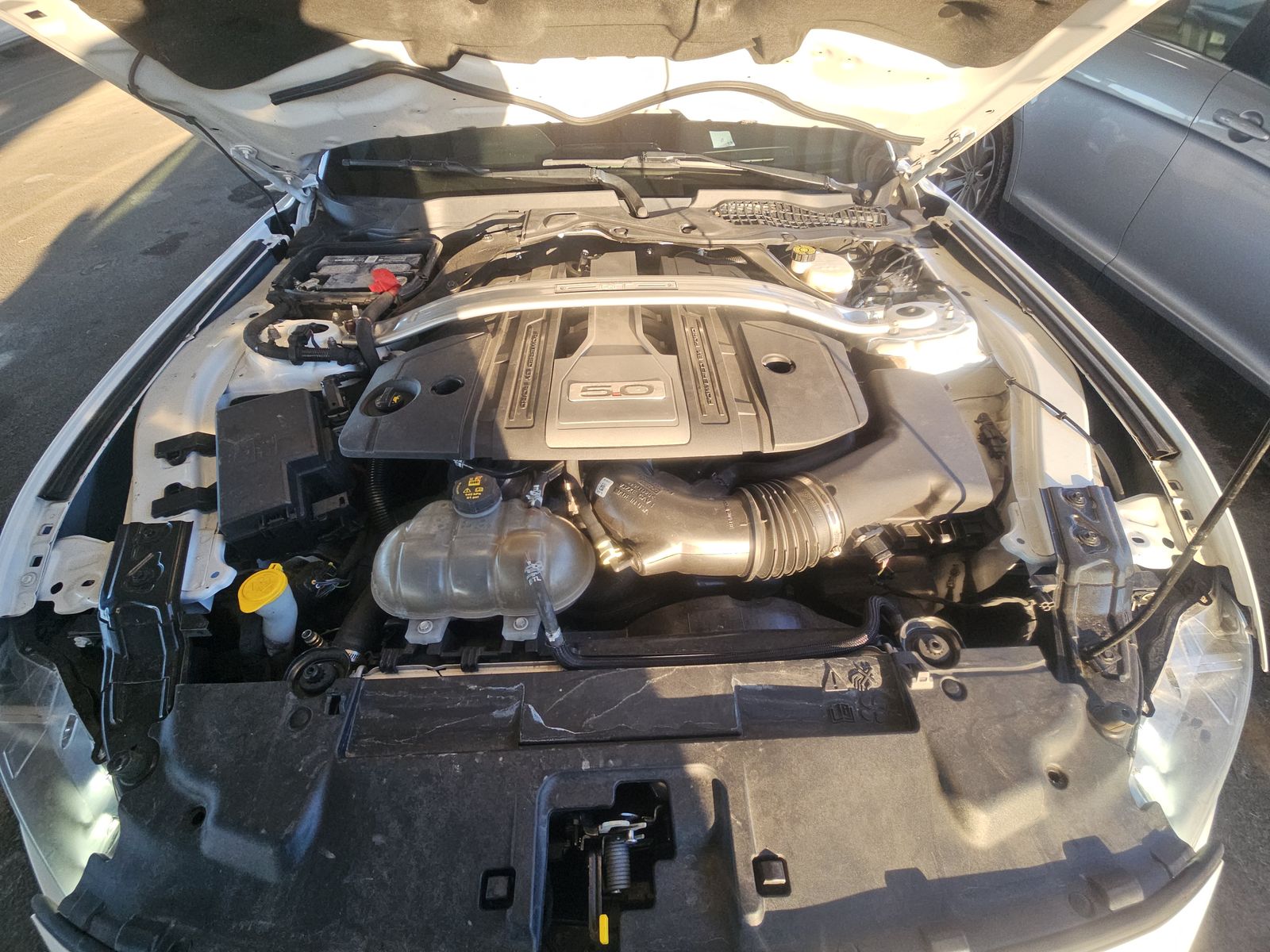 2019 Ford Mustang GT Premium RWD