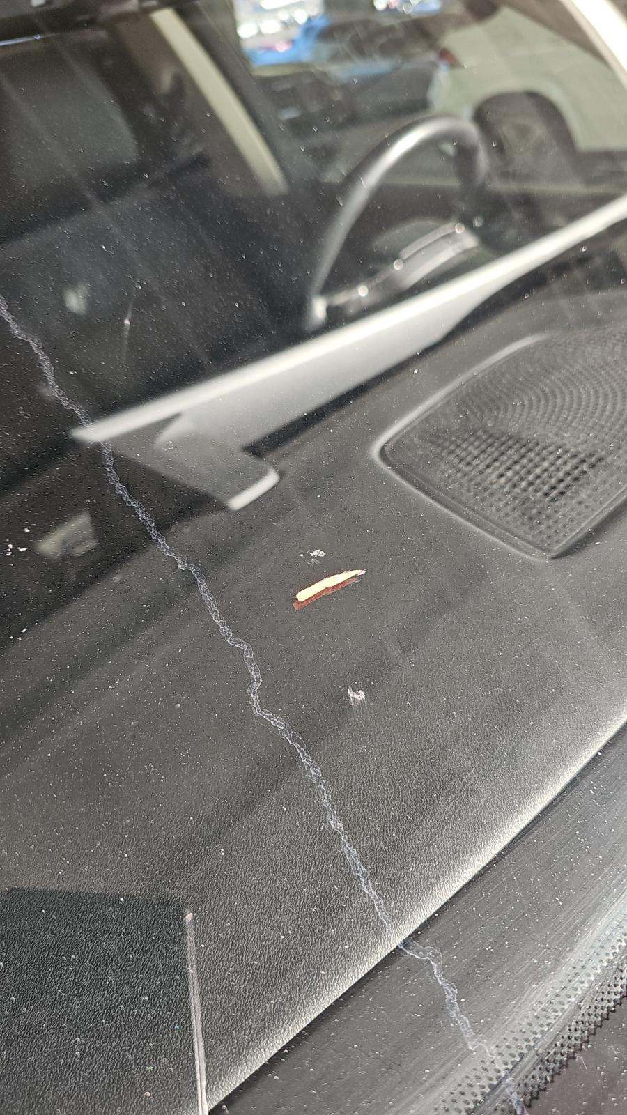 2025 BMW X7 xDrive40i AWD