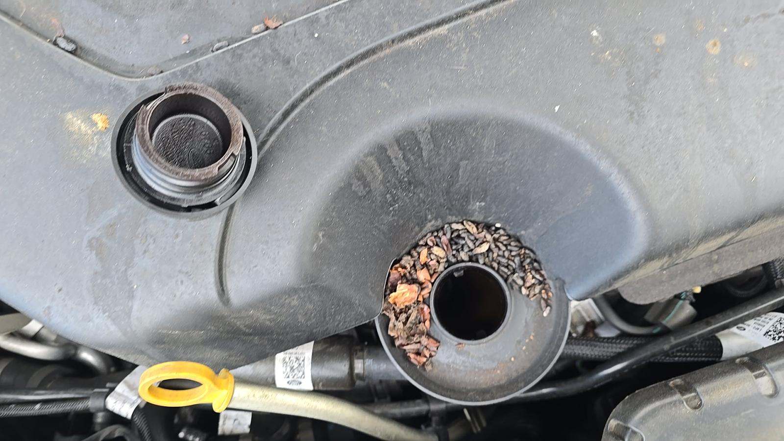 2022 Land Rover Range Rover Evoque S AWD