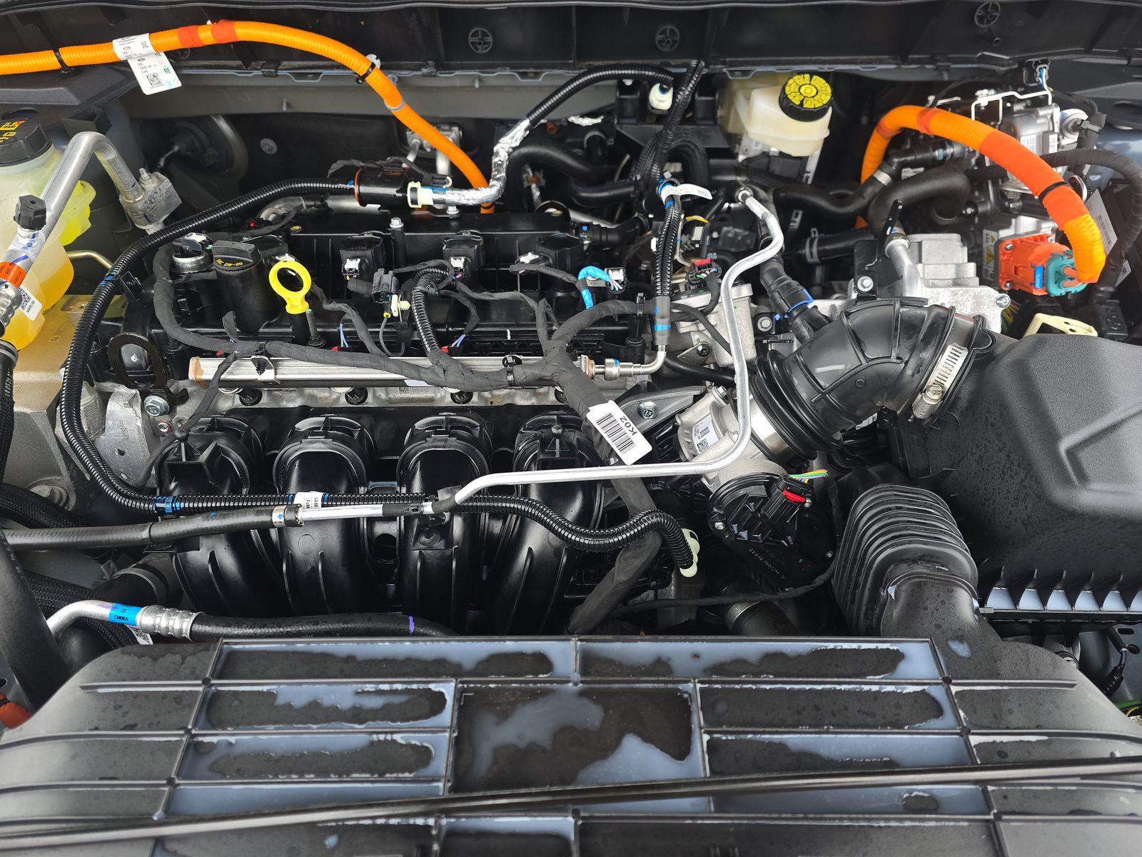 2025 Ford Escape Hybrid ST-Line Elite AWD