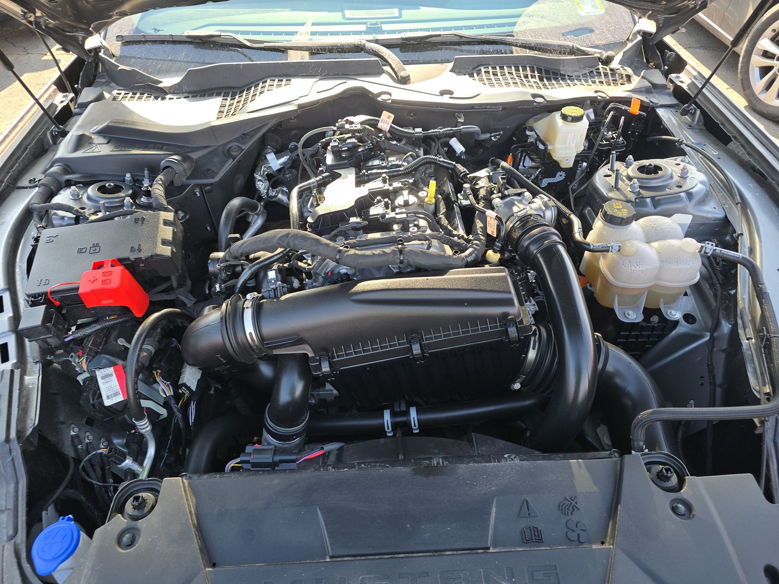 2024 Ford Mustang EcoBoost RWD