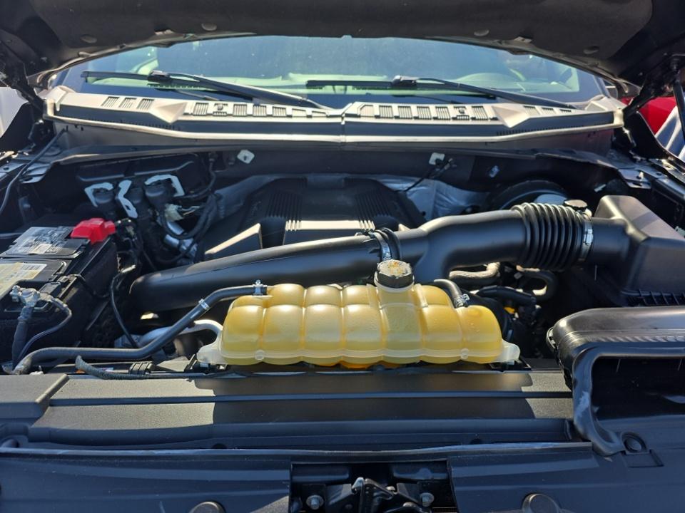 2020 Ford F-150 XLT RWD