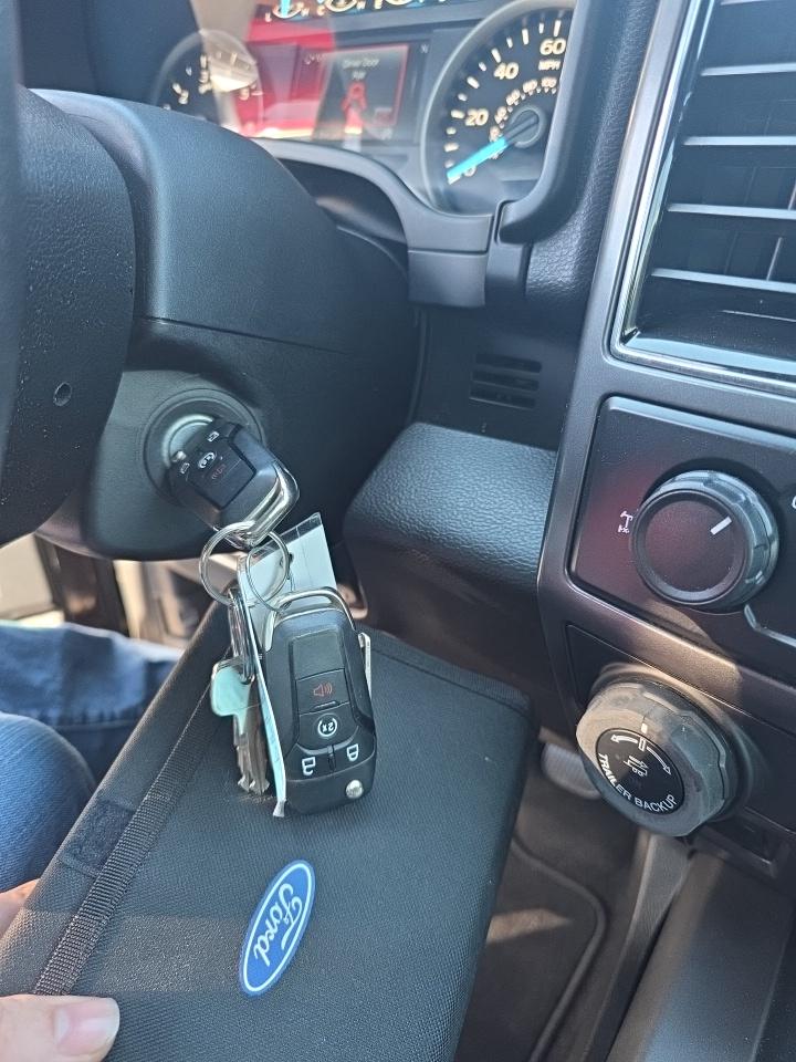 2020 Ford F-150 XLT RWD