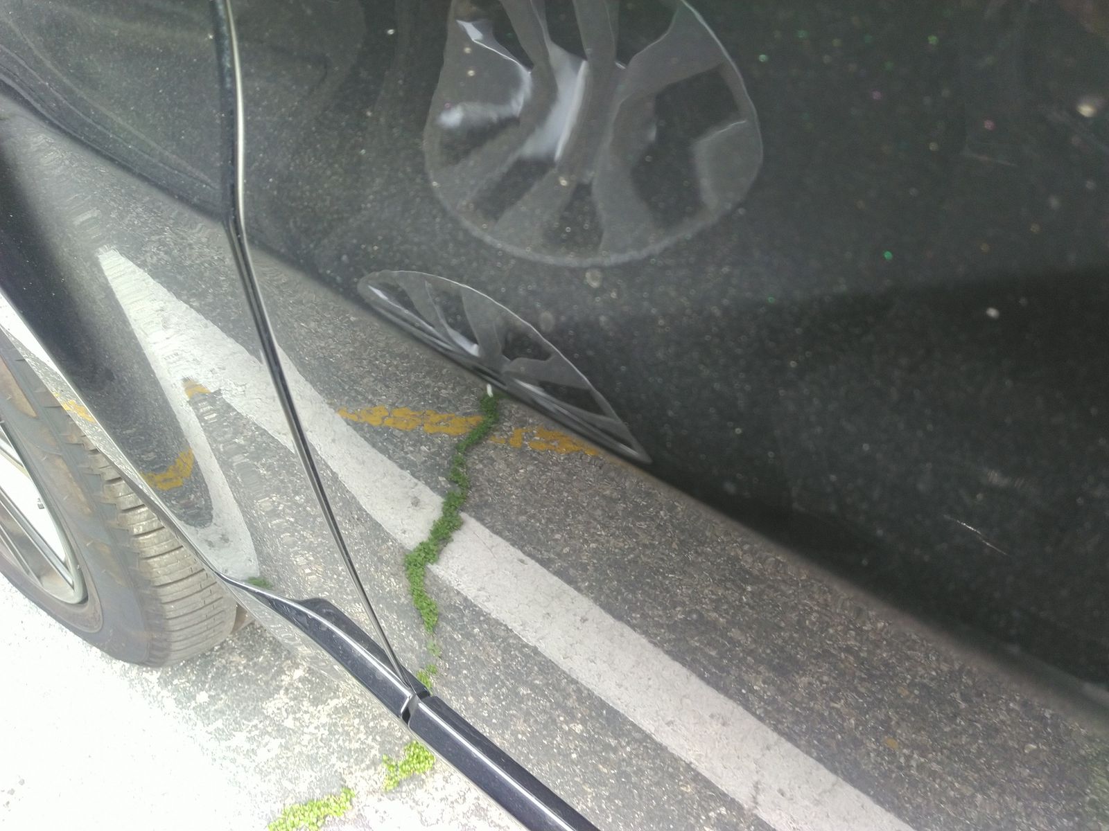 2022 Land Rover Range Rover Sport HSE Silver Edition AWD