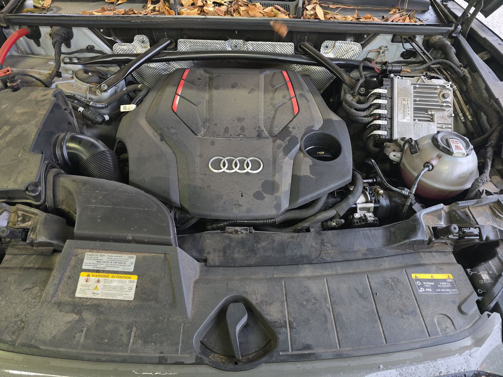 2023 Audi SQ5 Premium Plus AWD