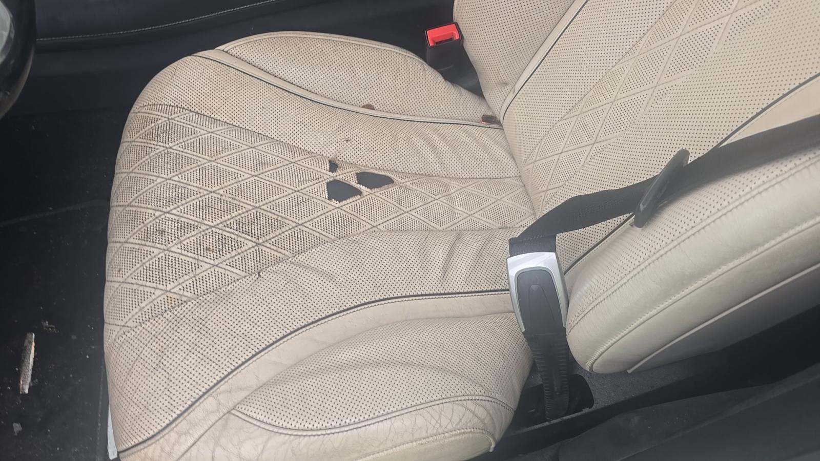 2019 Mercedes-Benz S-Class S 560 RWD