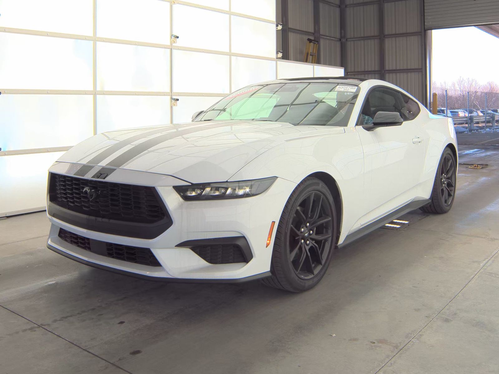 2025 Ford Mustang EcoBoost RWD