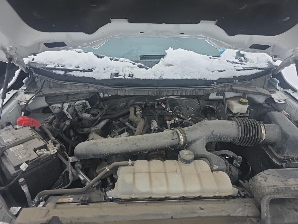 2024 Ford F-150 XLT AWD