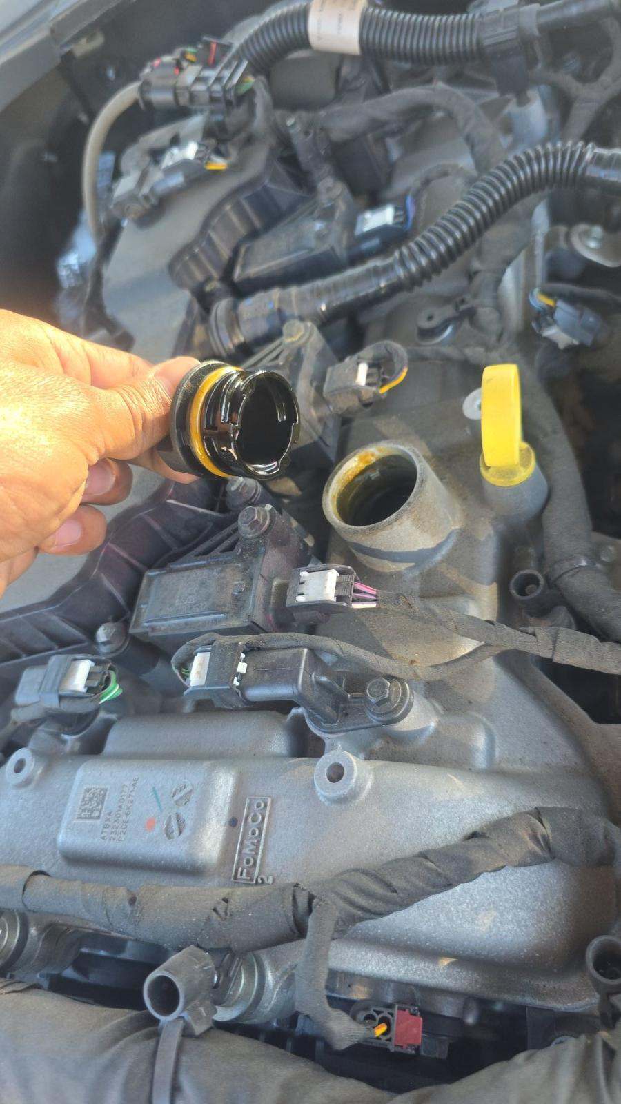 2024 Ford Mustang EcoBoost Premium RWD