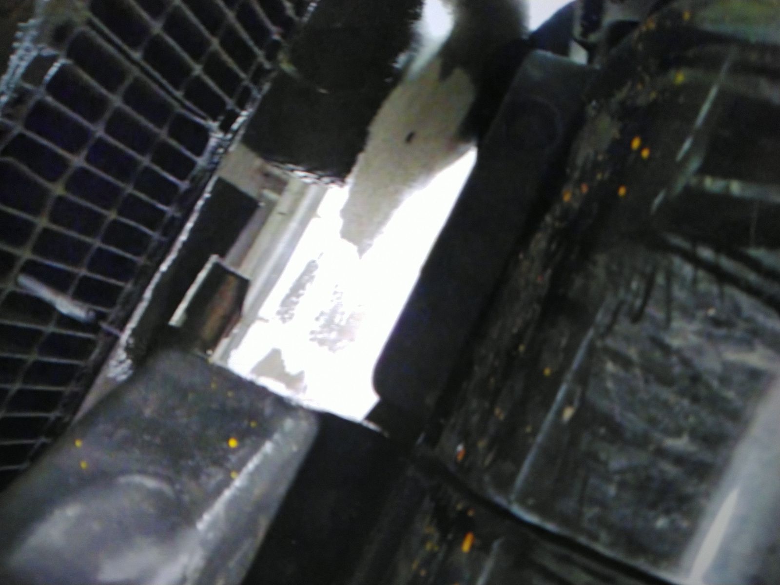 2025 Ford F-150 XLT AWD