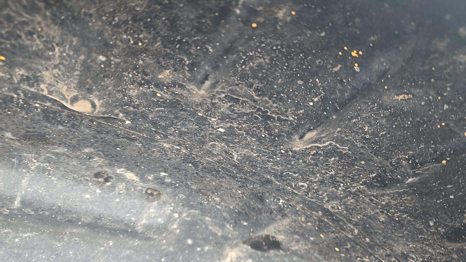 2025 Ford F-150 XLT AWD