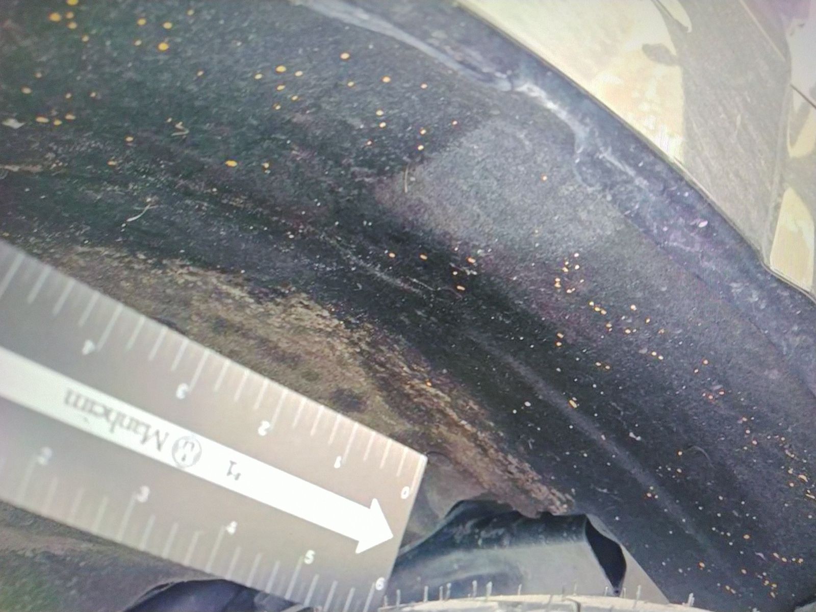 2025 Ford F-150 XLT AWD