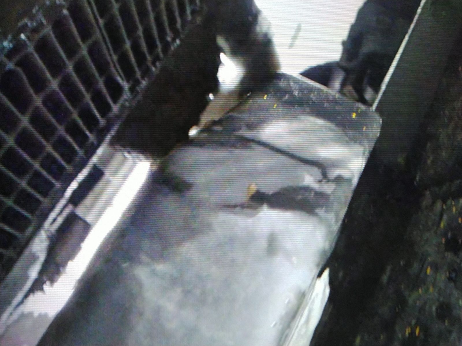 2025 Ford F-150 XLT AWD