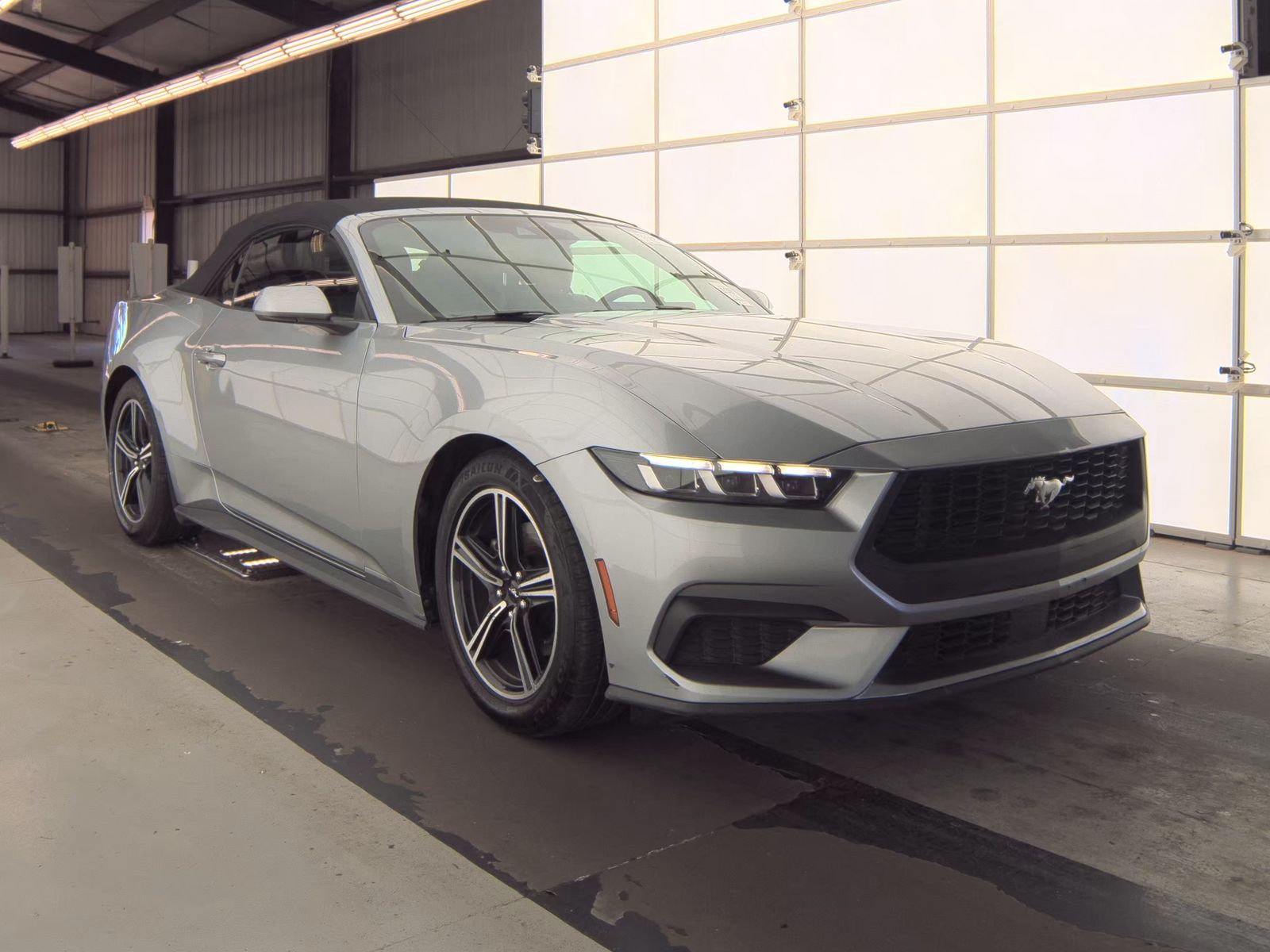 2024 Ford Mustang EcoBoost Premium RWD