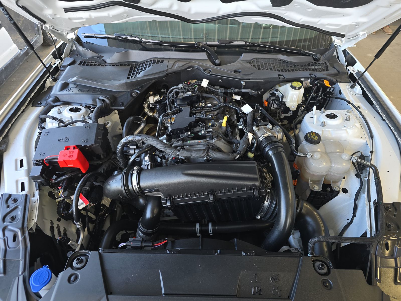 2025 Ford Mustang EcoBoost RWD