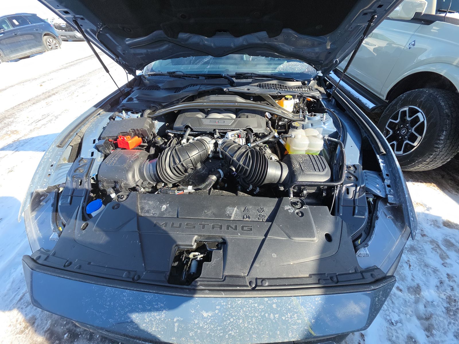 2025 Ford Mustang Dark Horse RWD