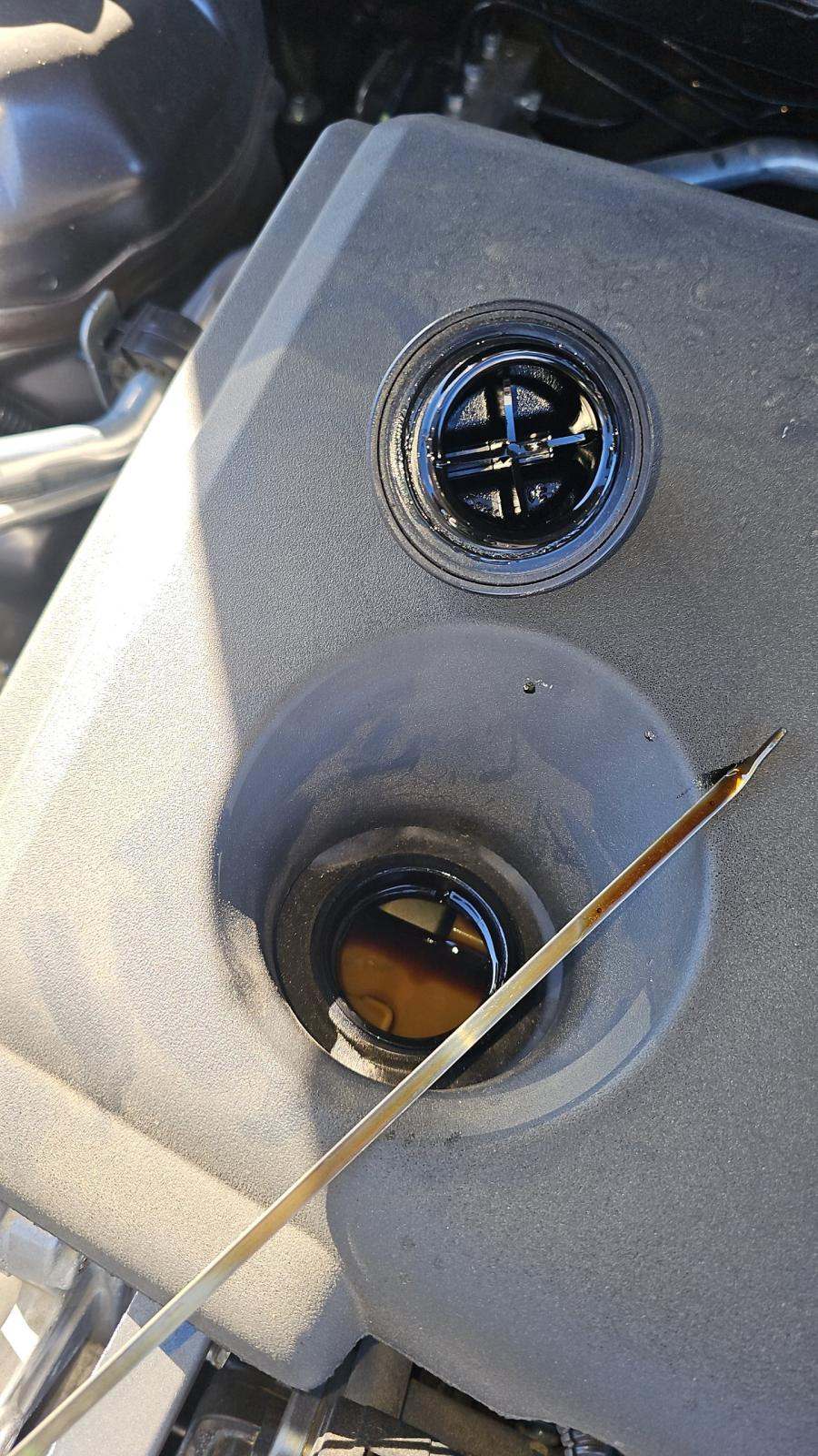 2024 Toyota Camry SE FWD