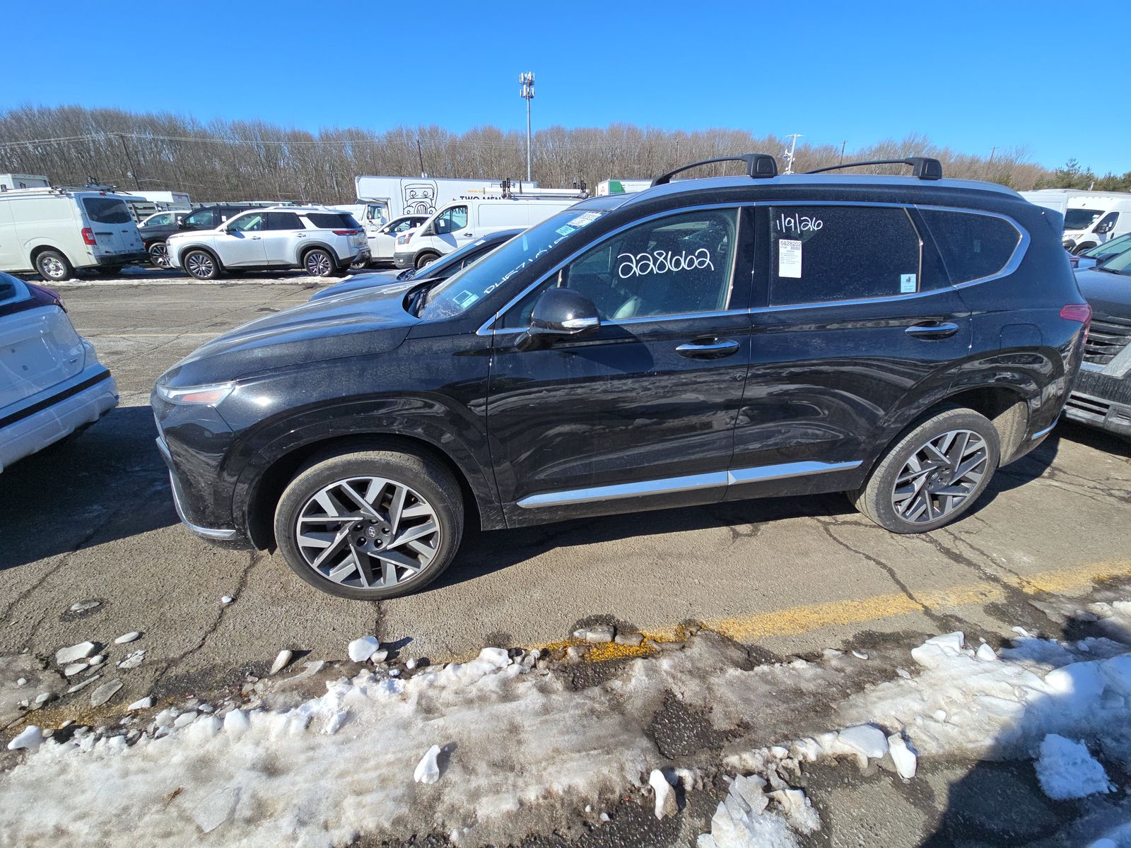 2023 Hyundai Santa Fe Calligraphy