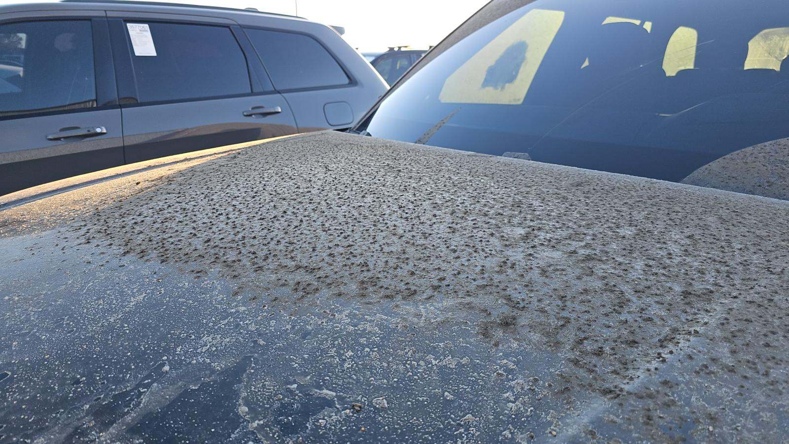 2025 Land Rover Range Rover SE AWD