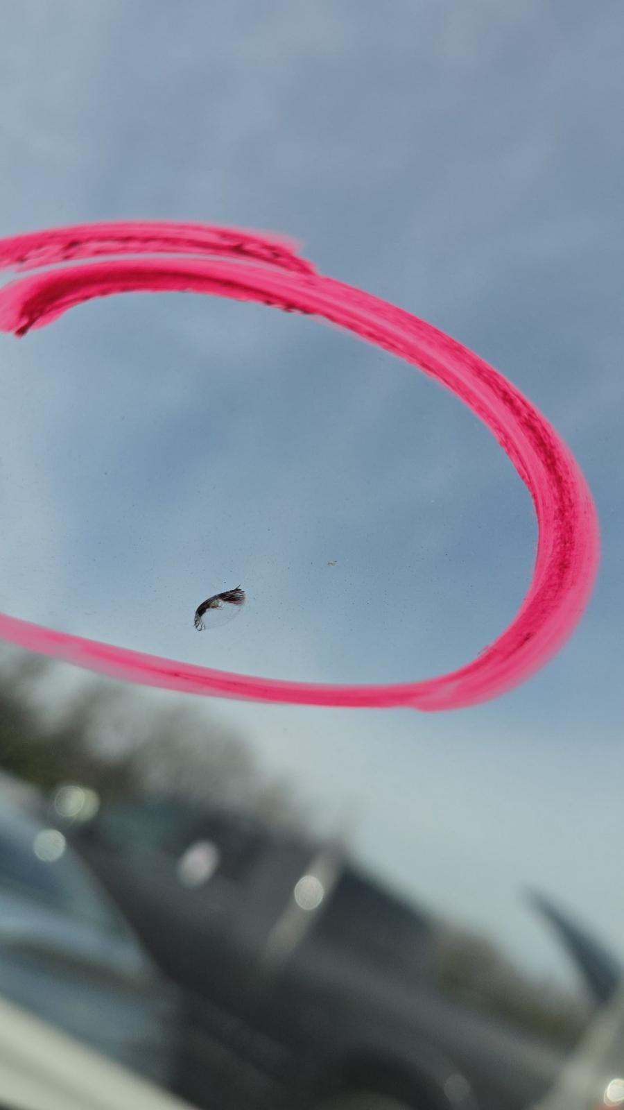 2024 Nissan Pathfinder Platinum FWD