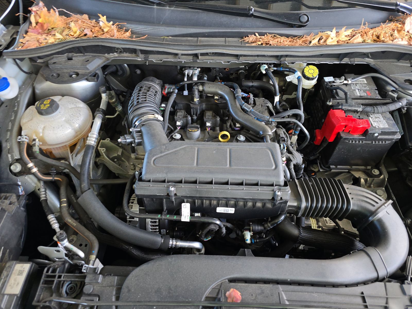 2024 Ford Escape Active FWD