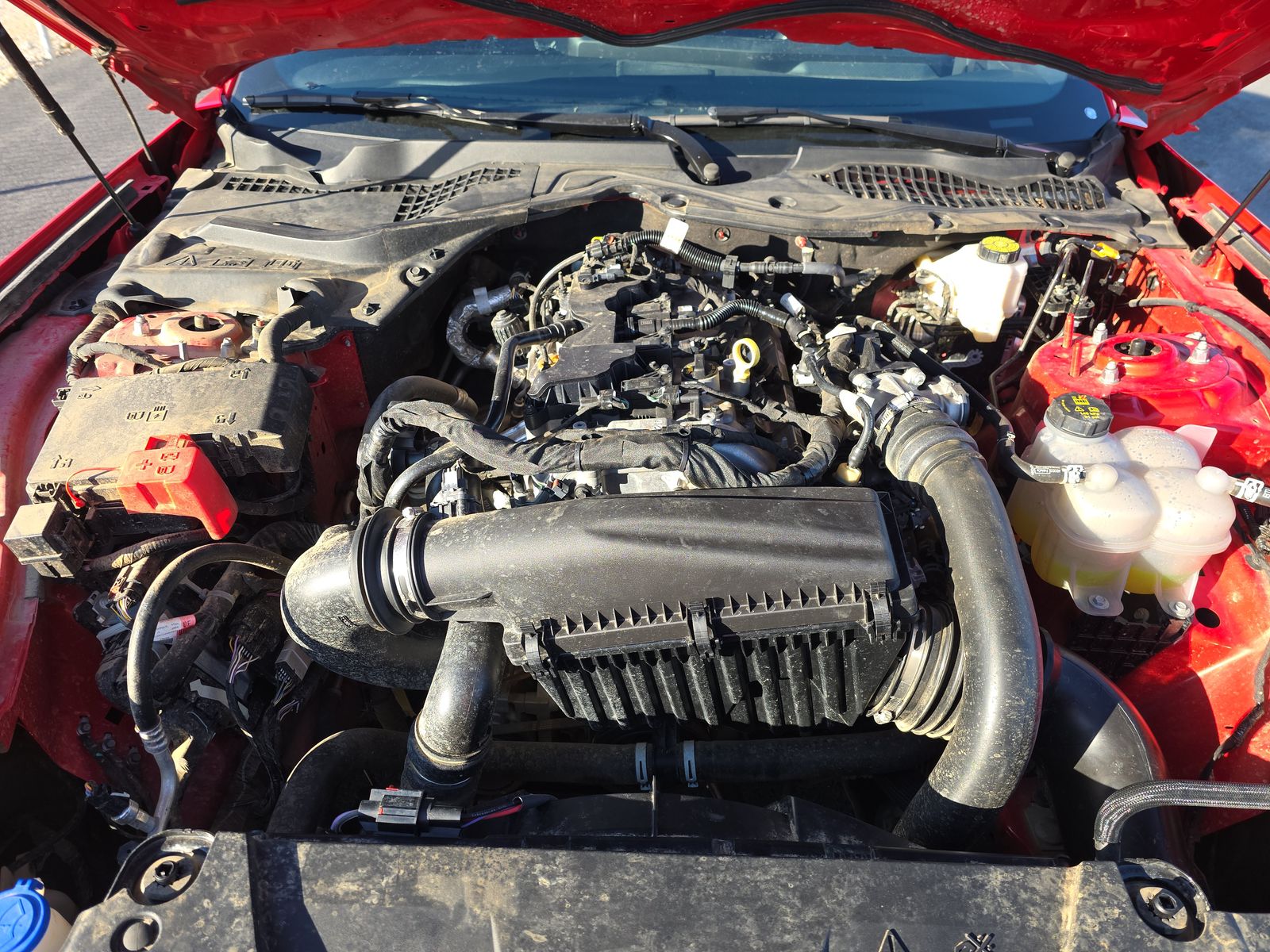 2024 Ford Mustang EcoBoost Premium RWD