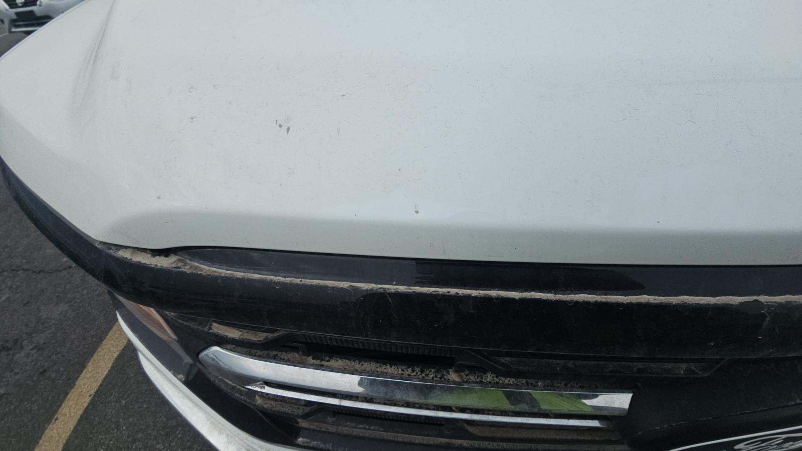 2025 Ford F-150 XLT AWD