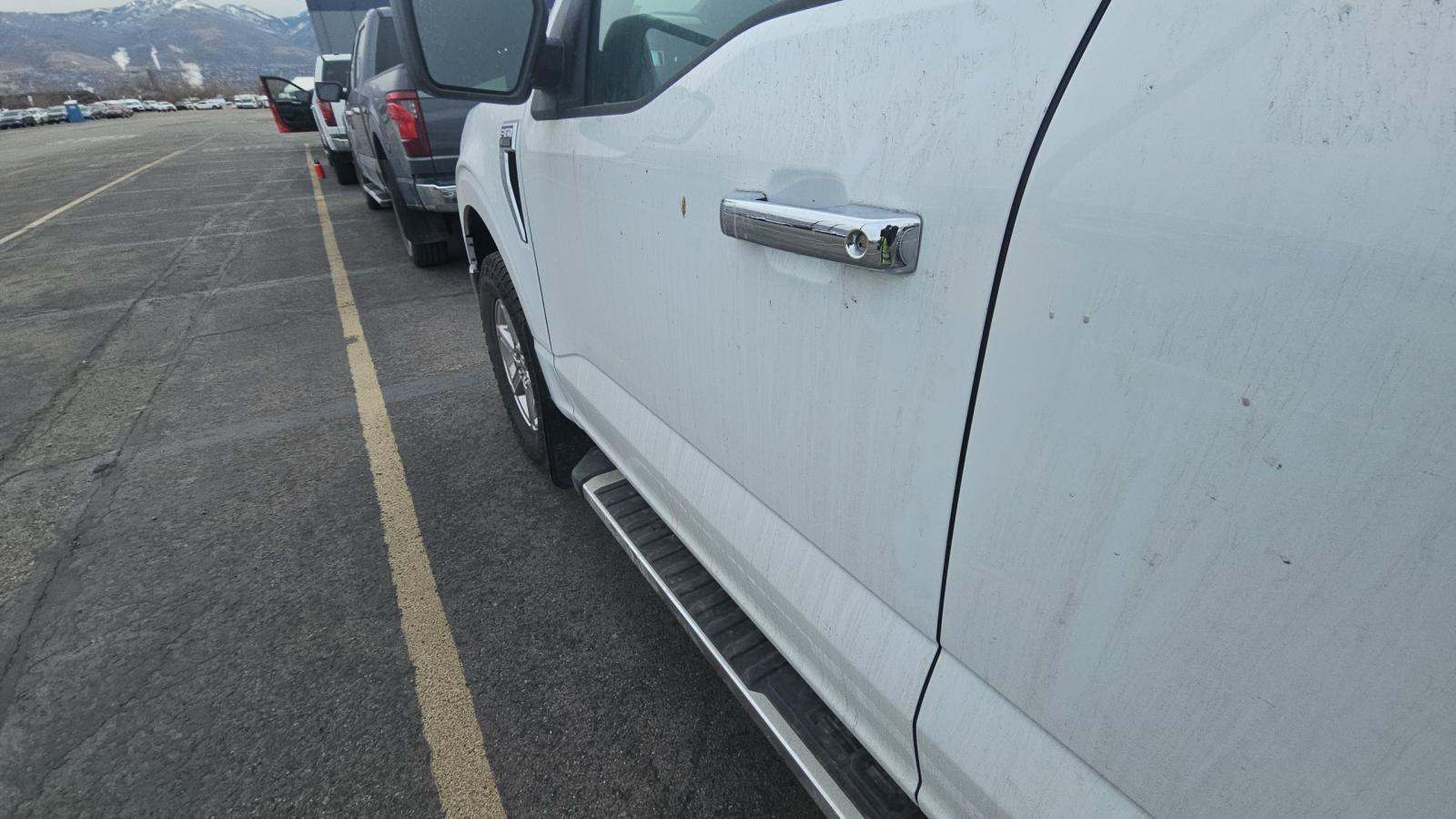 2025 Ford F-150 XLT AWD