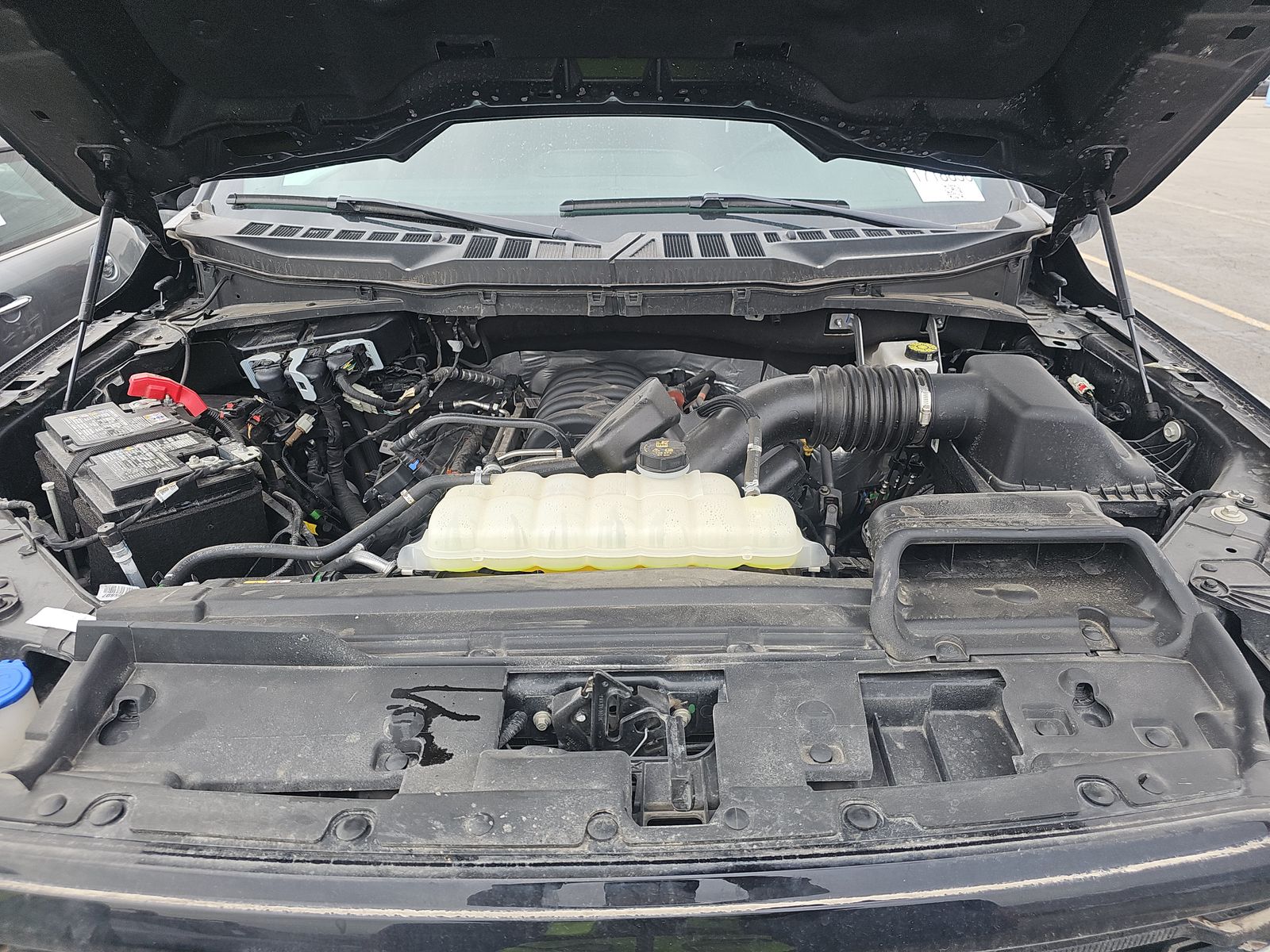 2025 Ford F-150 XLT AWD