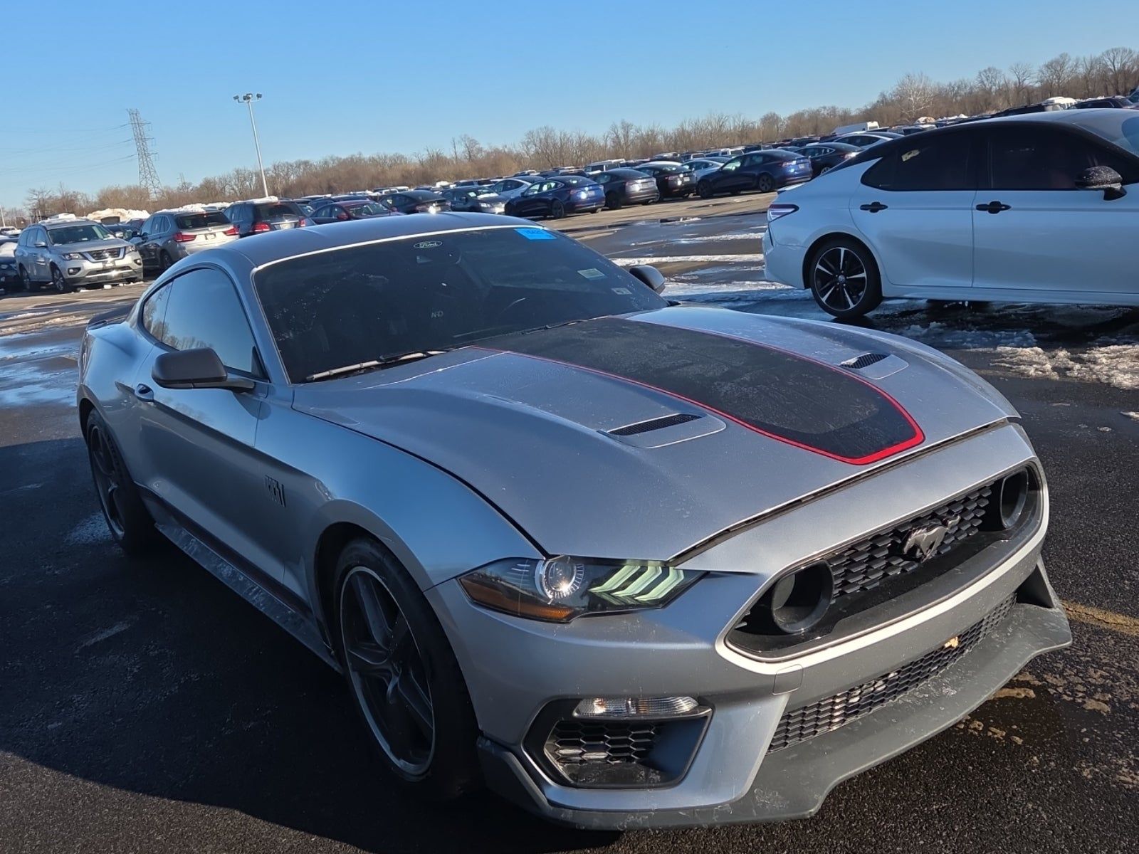 2023 Ford Mustang Mach 1 RWD