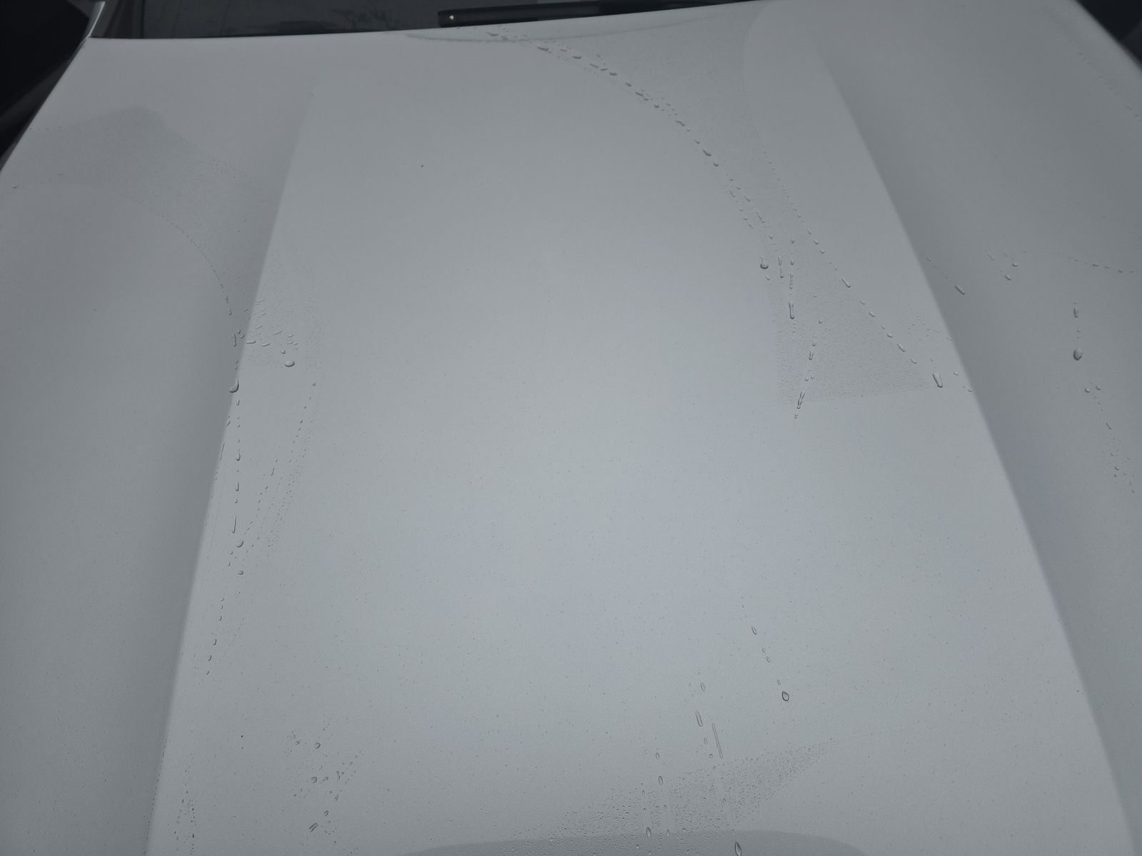 2025 Mercedes-Benz E-Class E 450 AWD