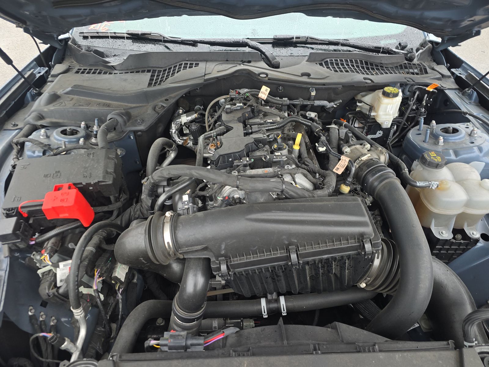2024 Ford Mustang EcoBoost FWD