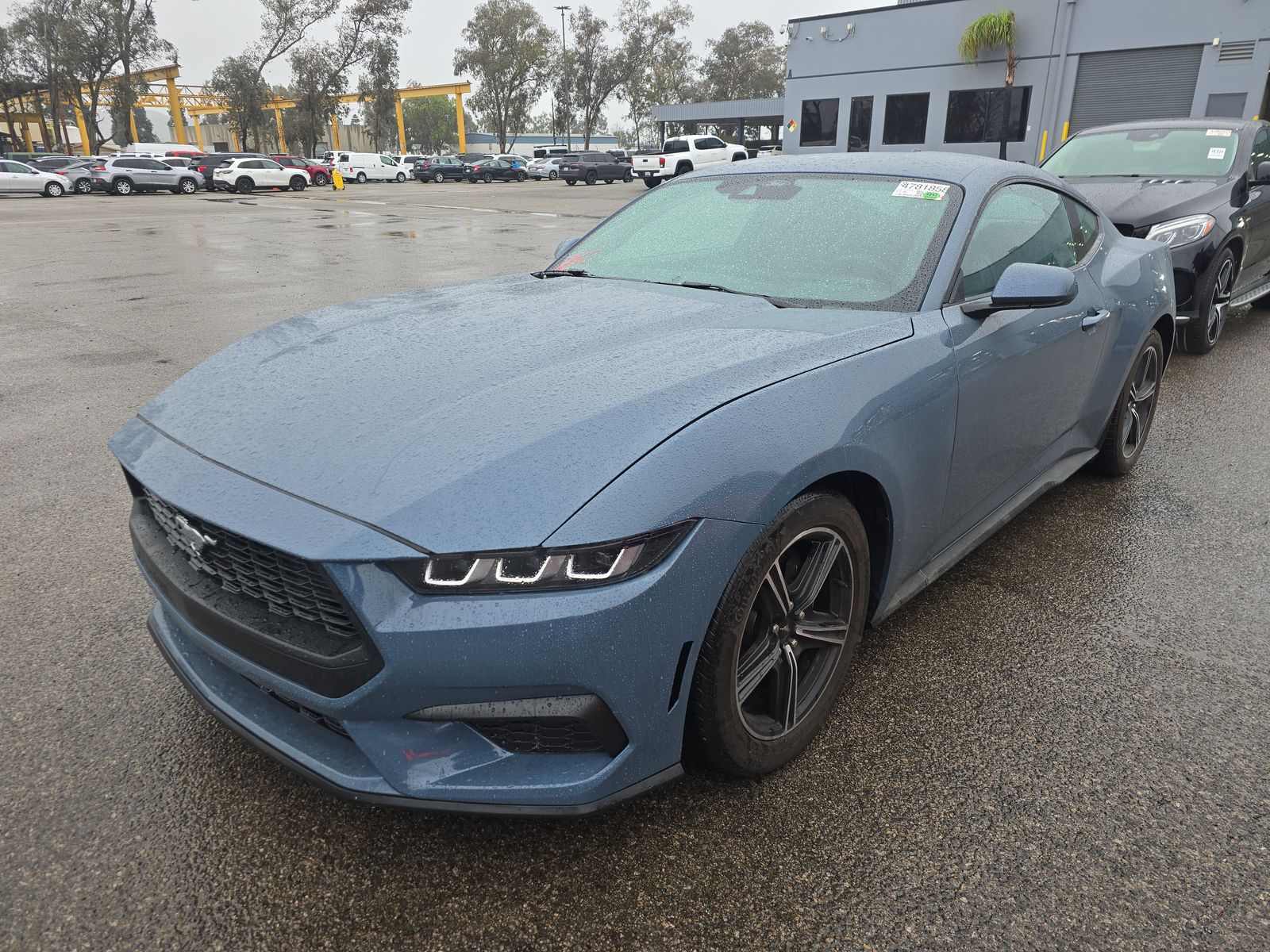 2024 Ford Mustang EcoBoost Fastback's photo