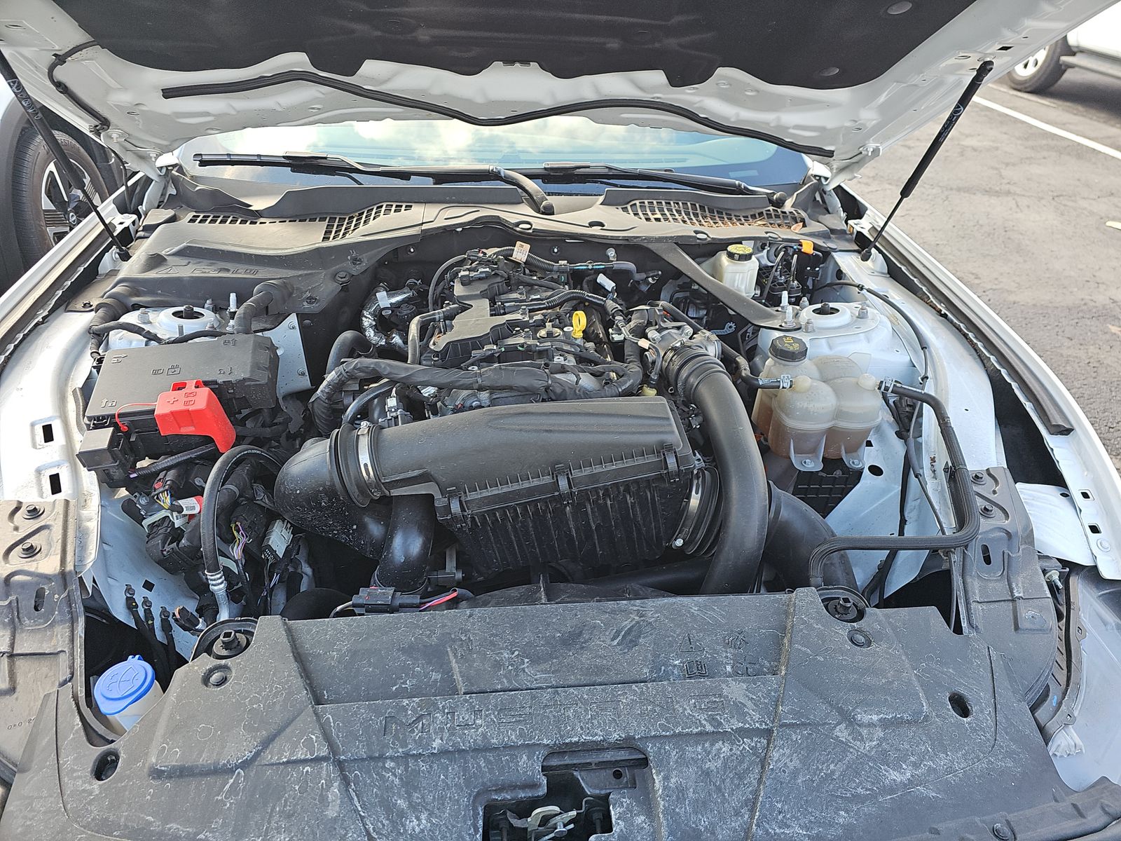 2024 Ford Mustang EcoBoost Premium RWD