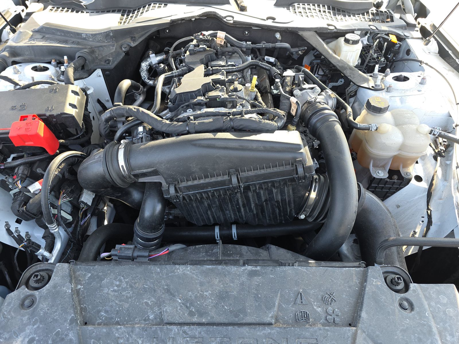 2024 Ford Mustang EcoBoost Premium RWD