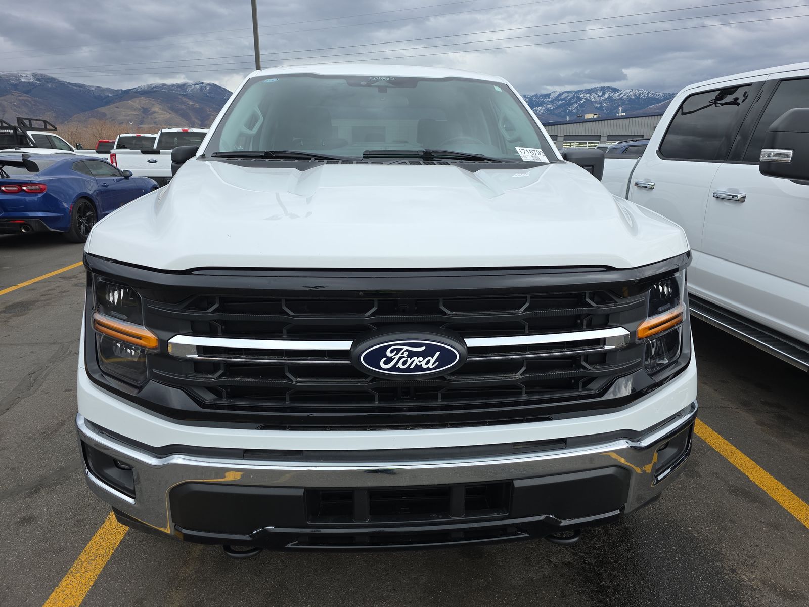 2025 Ford F-150 XLT AWD