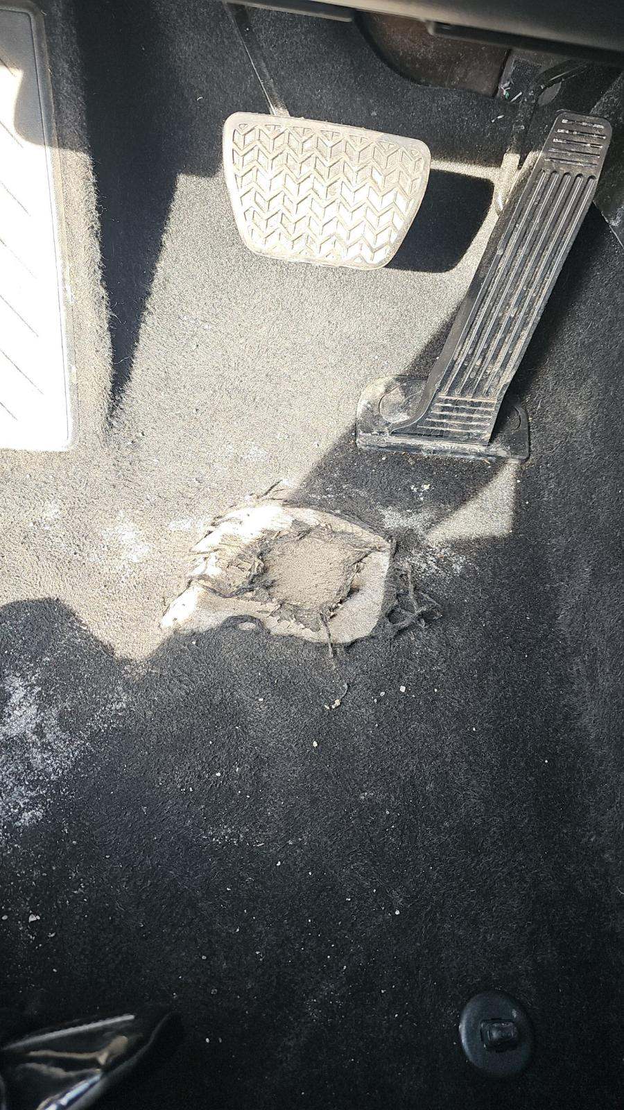 2024 Toyota RAV4 LE AWD