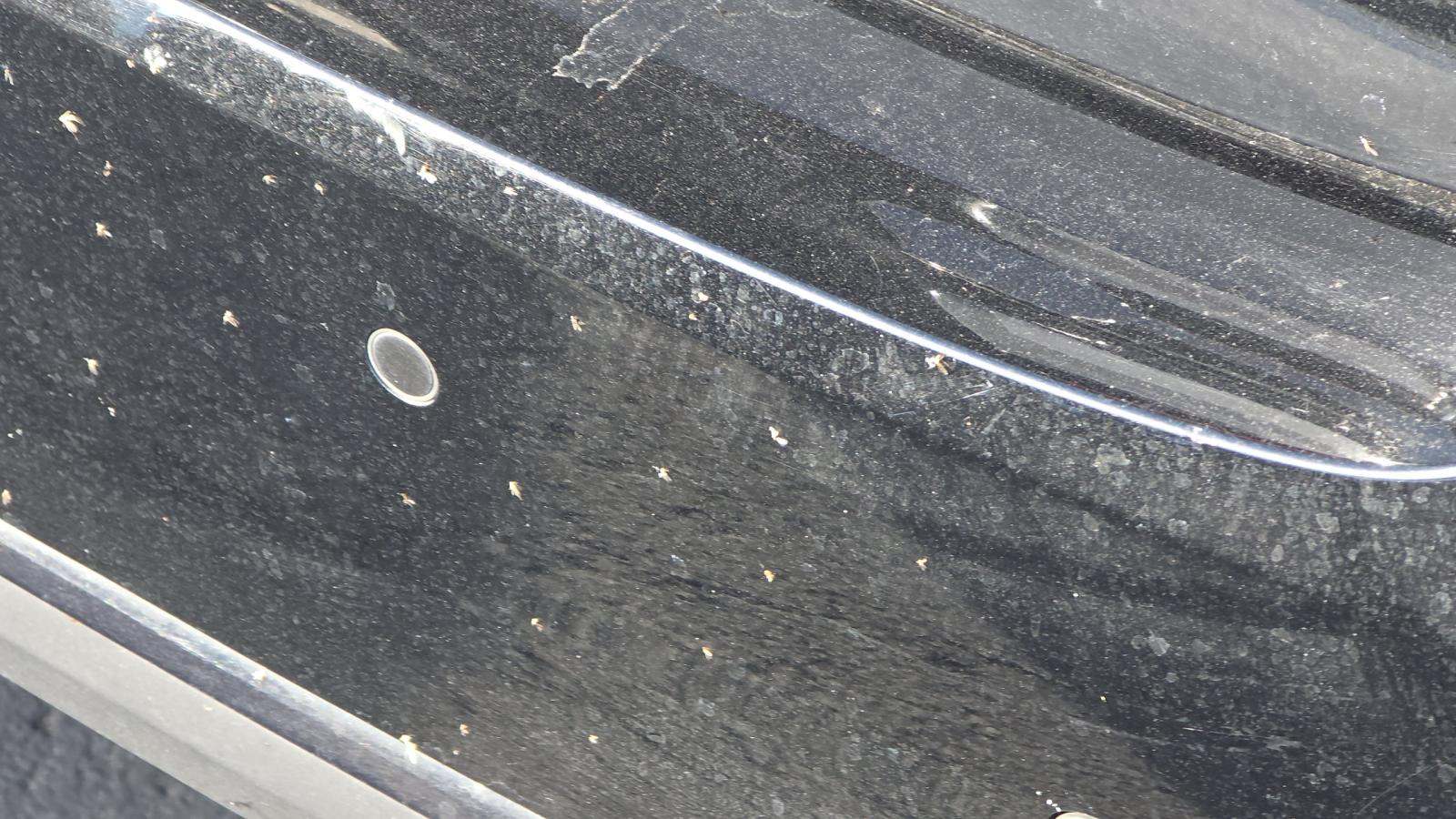 2023 BMW 5 Series 530e xDrive AWD