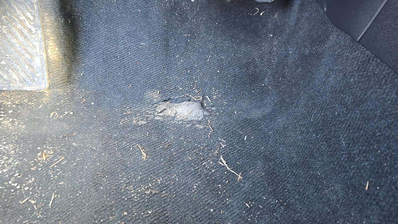 2024 Toyota Corolla LE FWD