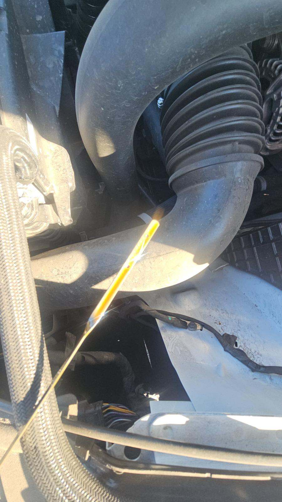 2024 Ford Mustang EcoBoost Premium RWD