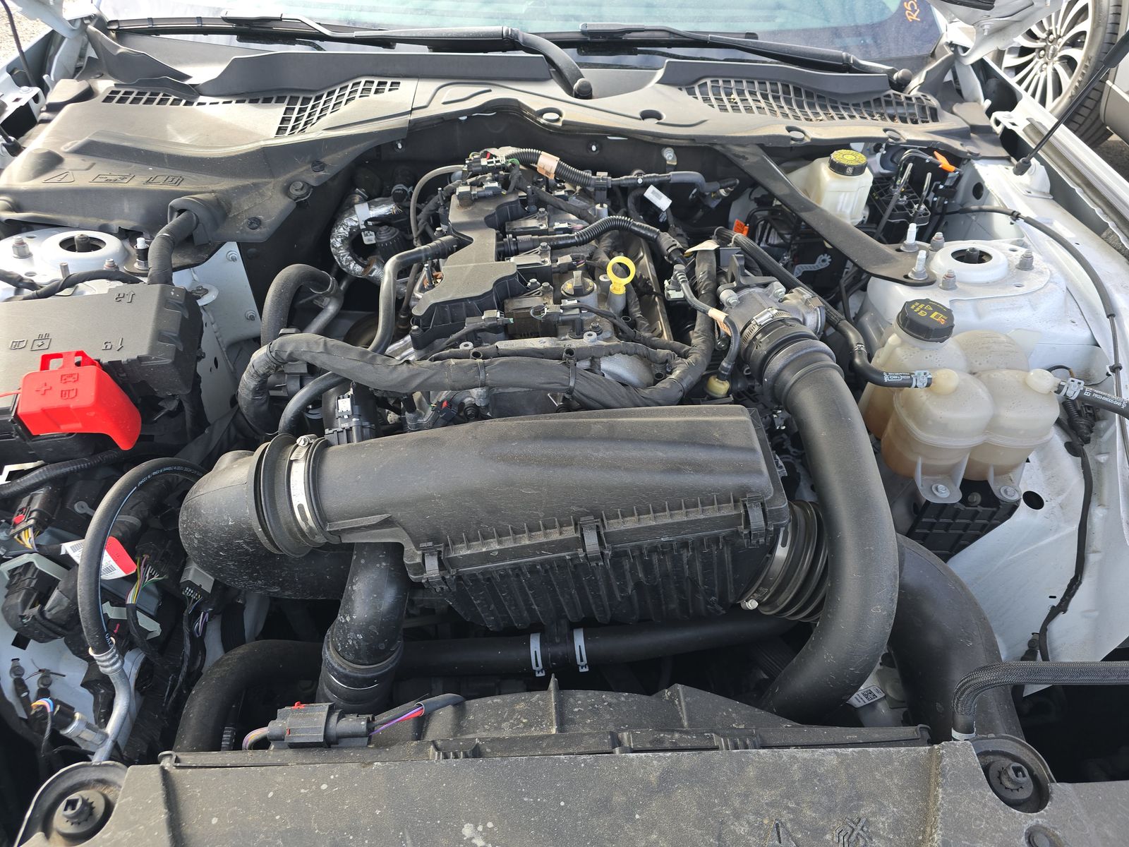 2024 Ford Mustang EcoBoost Premium RWD